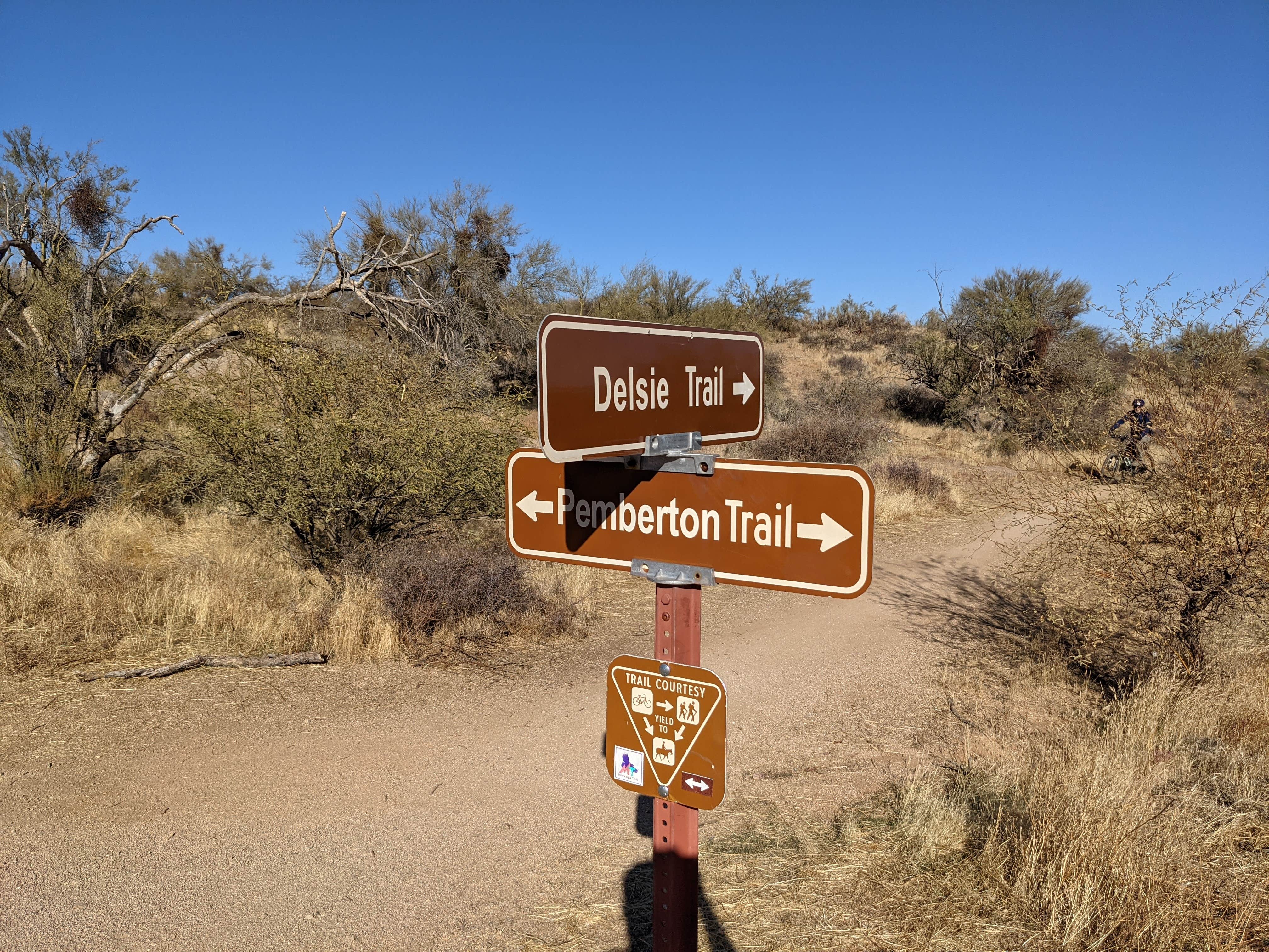 Camper-submitted photo at McDowell Mountain Regional Park near Paradise Valley, AZ