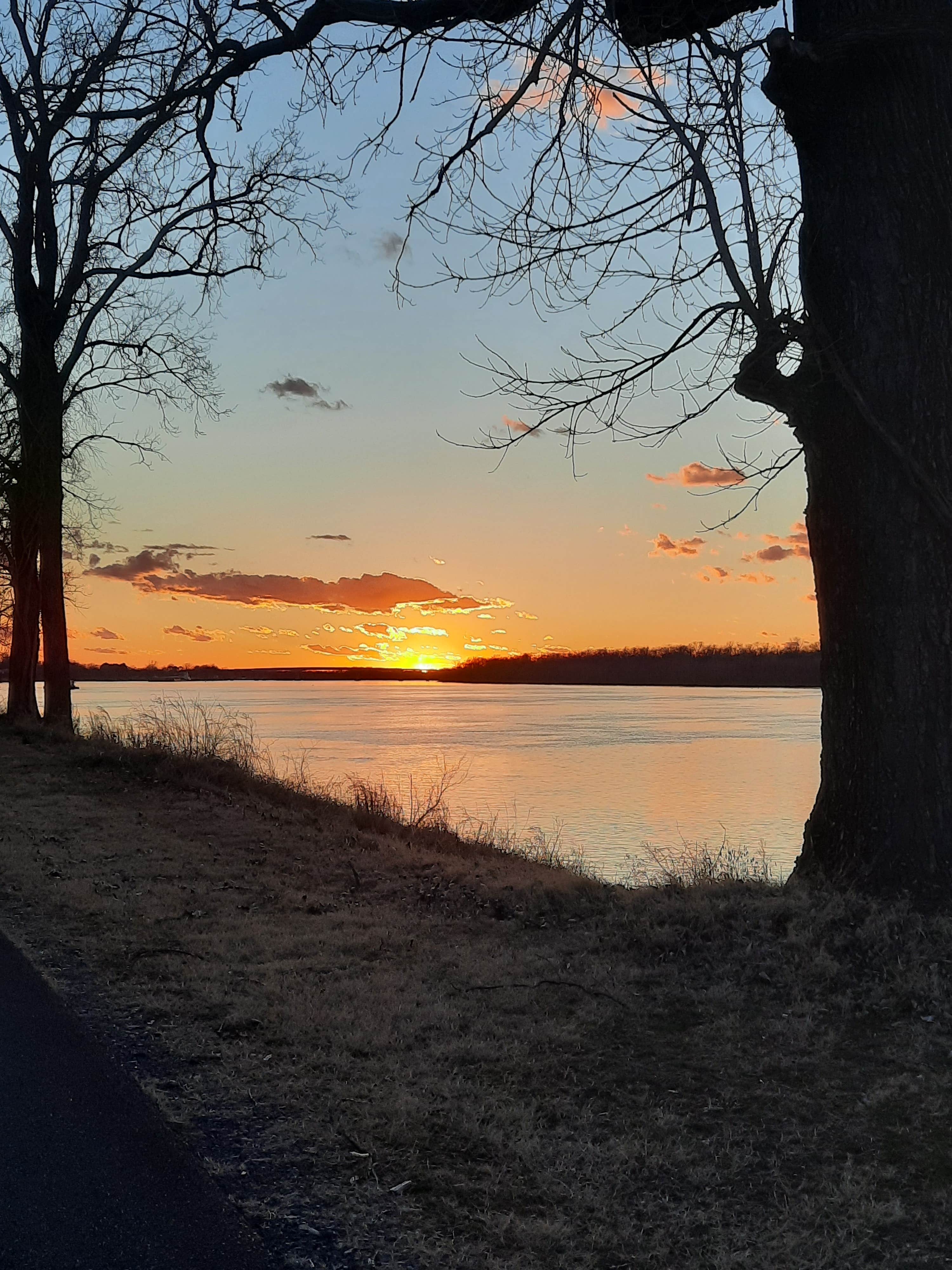 Camper submitted image from COE Arkansas River  Wilbur D Mills Campground - 1