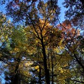 Review photo of Lake Wissota State Park Campground by Coartney Z., January 18, 2021