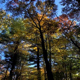 Lake Wissota State Park