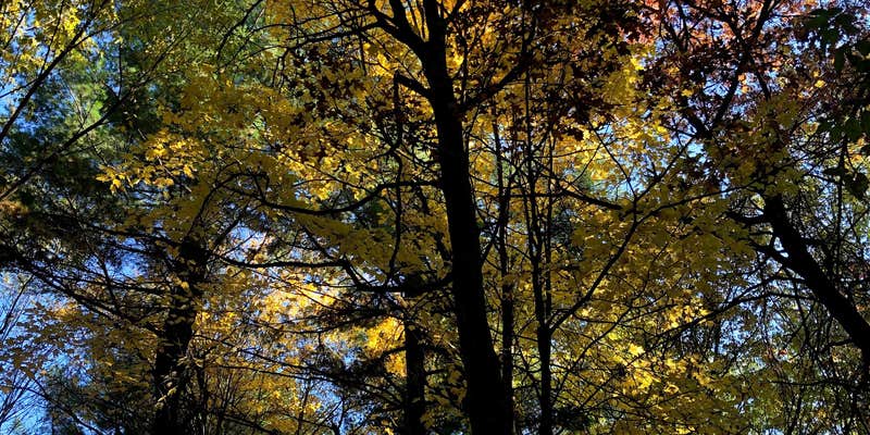 Camper submitted image from Lake Wissota State Park Campground