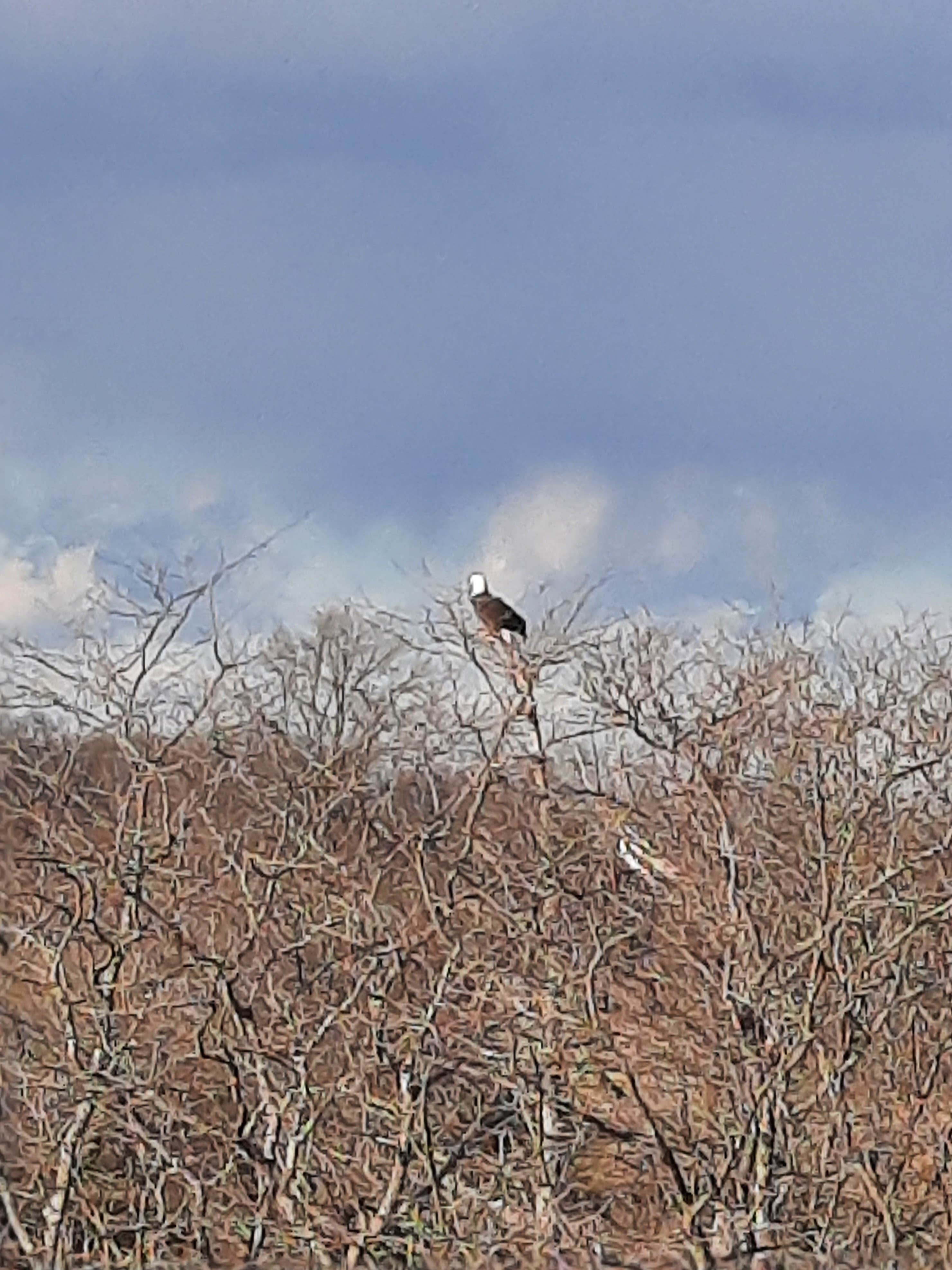 Camper-submitted photo at Rising Star near Gillett, AR