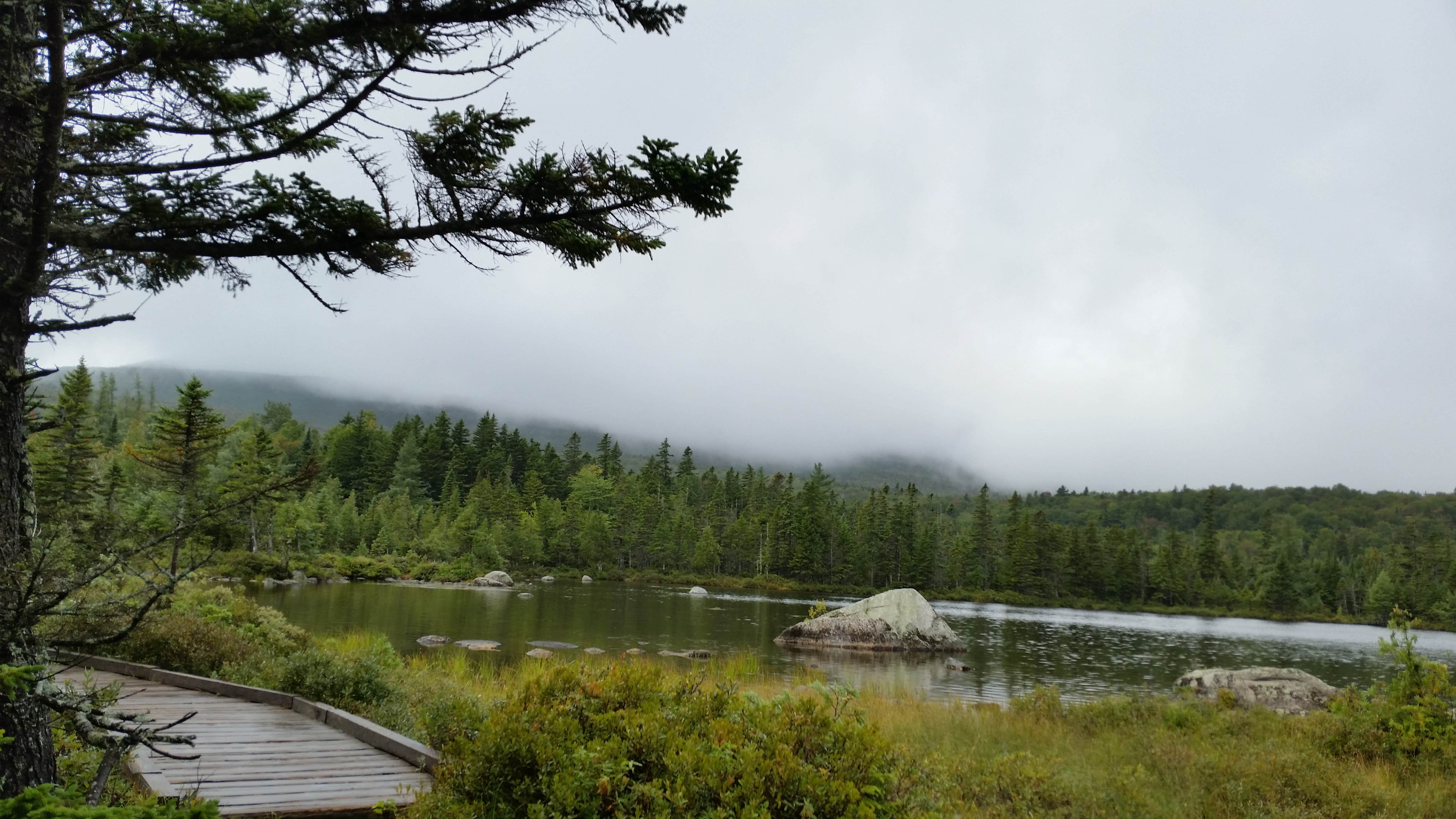 Camper-submitted photo at Roaring Brook Campground — Baxter State Park near Millinocket, ME