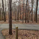 Review photo of Lake Norman State Park Campground by Birgit  H., January 18, 2021