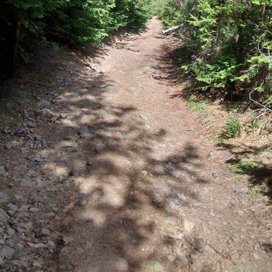 Spring Creek Campground Camping The Dyrt