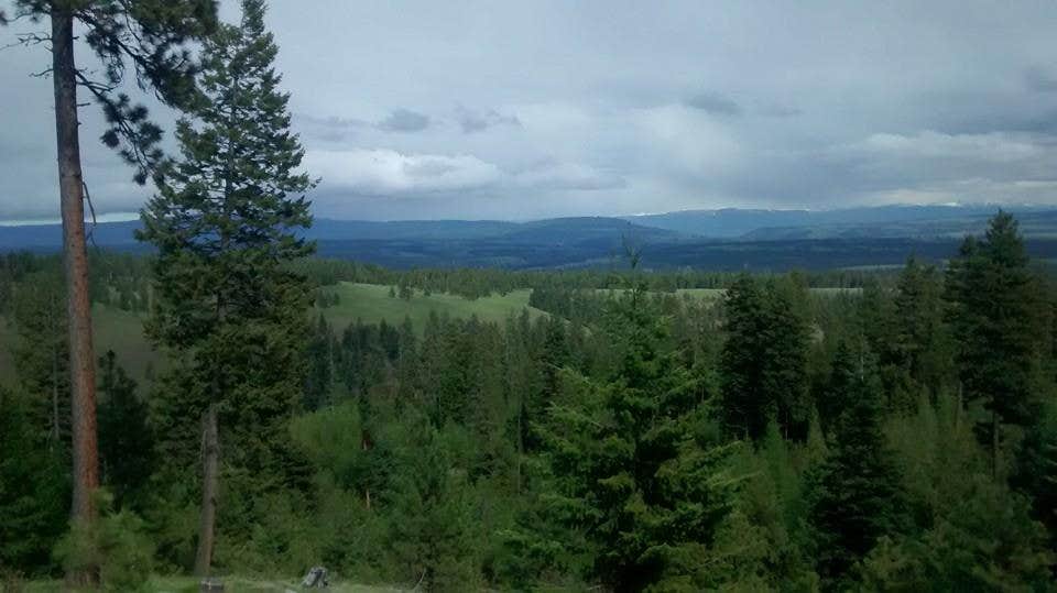 Camper-submitted photo at Spring Creek Campground near Meacham, OR