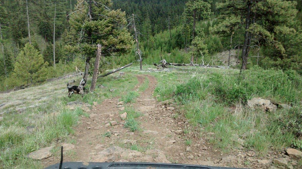 Camper-submitted photo at Spring Creek Campground near Meacham, OR