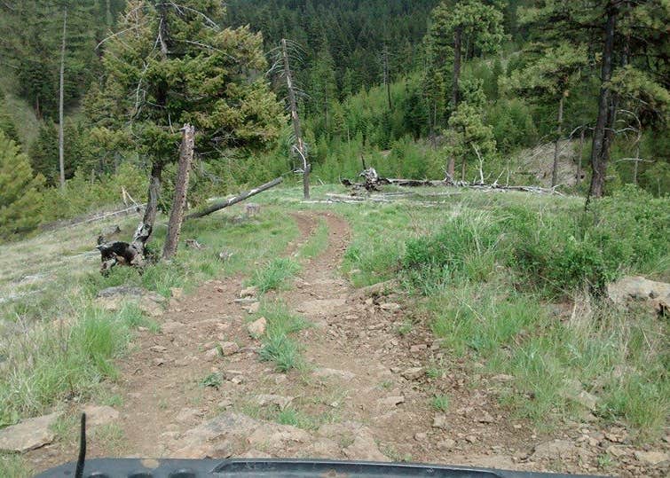 Spring Creek Campground Camping The Dyrt