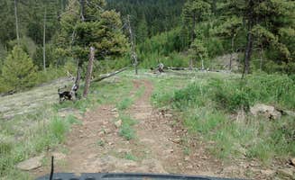 Rayne N.'s photo of camping with pets at Spring Creek Campground near Umatilla National Forest