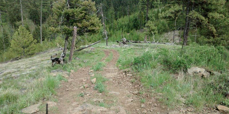 Camper submitted image from Spring Creek Campground