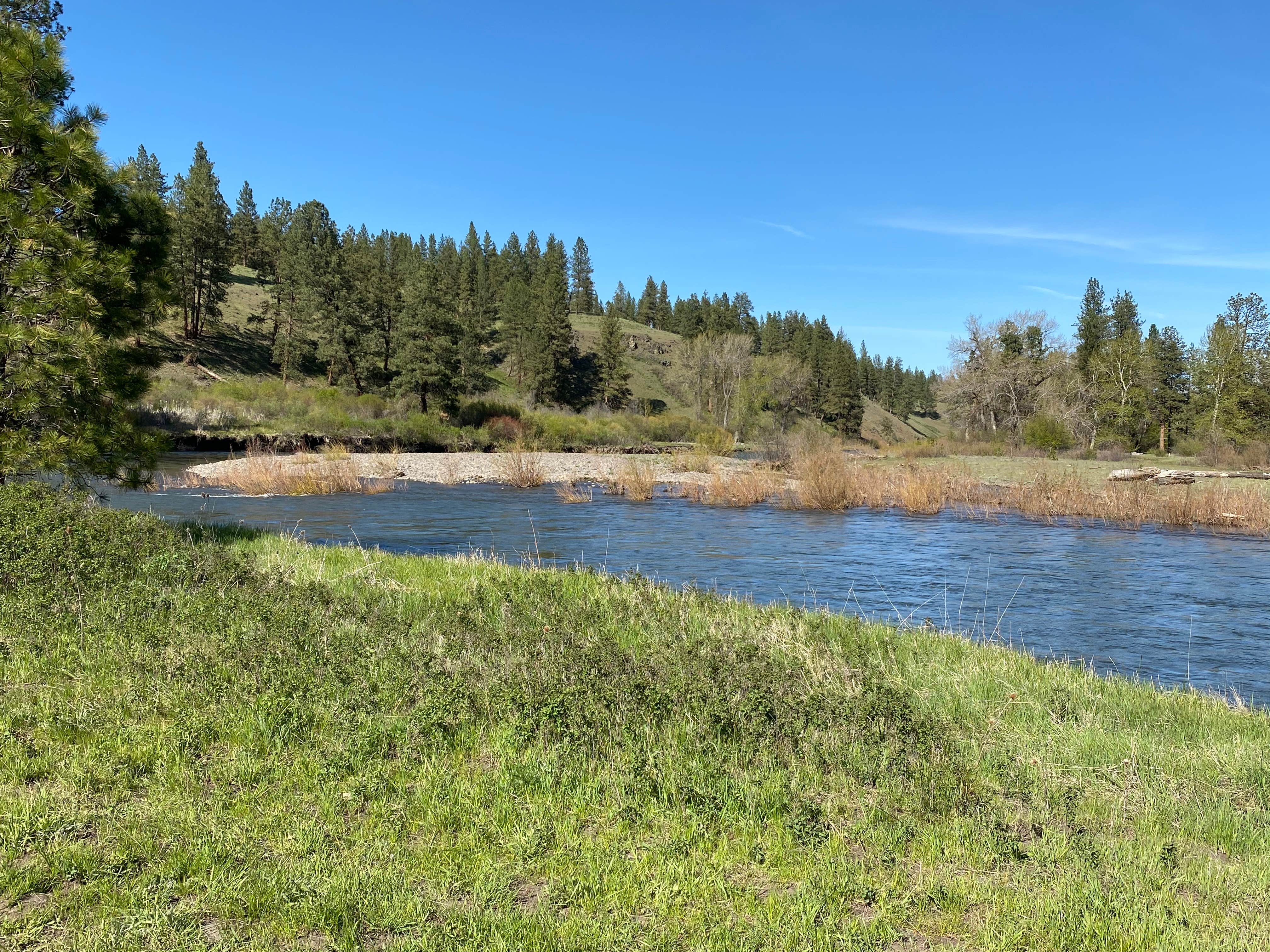 Escape To Oregon’s Emerald Gem: Spring Creek Campground