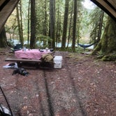Review photo of Staircase Campground — Olympic National Park by Holly  ., January 18, 2021