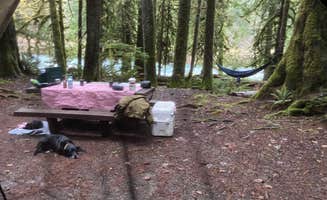 Holly  .'s photo of camping with pets at Staircase Campground — Olympic National Park near Olympic National Forest