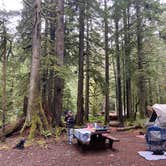 Review photo of Staircase Campground — Olympic National Park by Holly  ., January 18, 2021