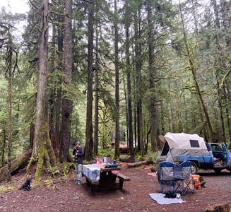 Camper-submitted photo from Hoh Oxbow Campground