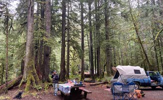 Holly .'s photo at Staircase Campground — Olympic National Park near Olympic National Forest