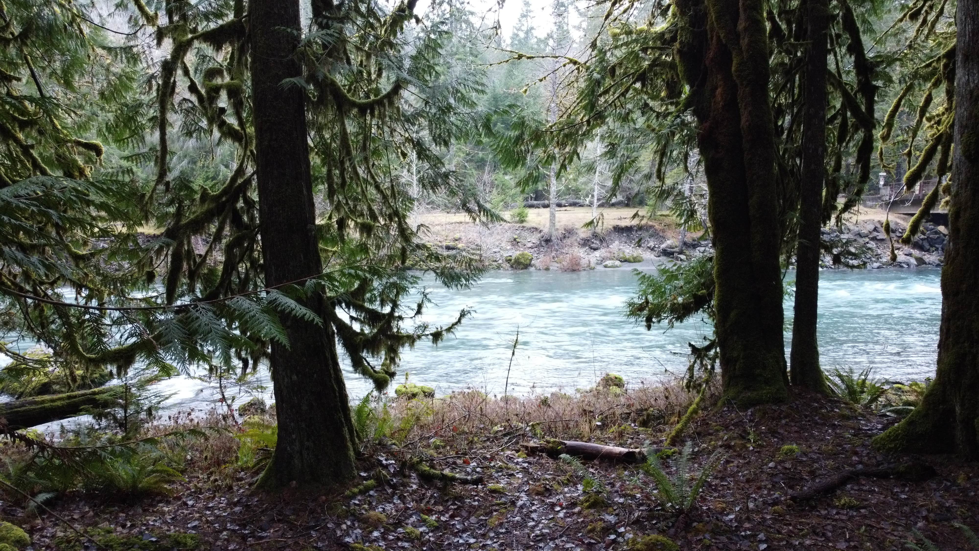 Camper-submitted photo at Staircase Campground — Olympic National Park near Olympic National Forest