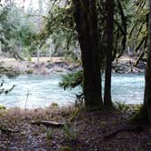 Review photo of Staircase Campground — Olympic National Park by Christopher B., January 18, 2021