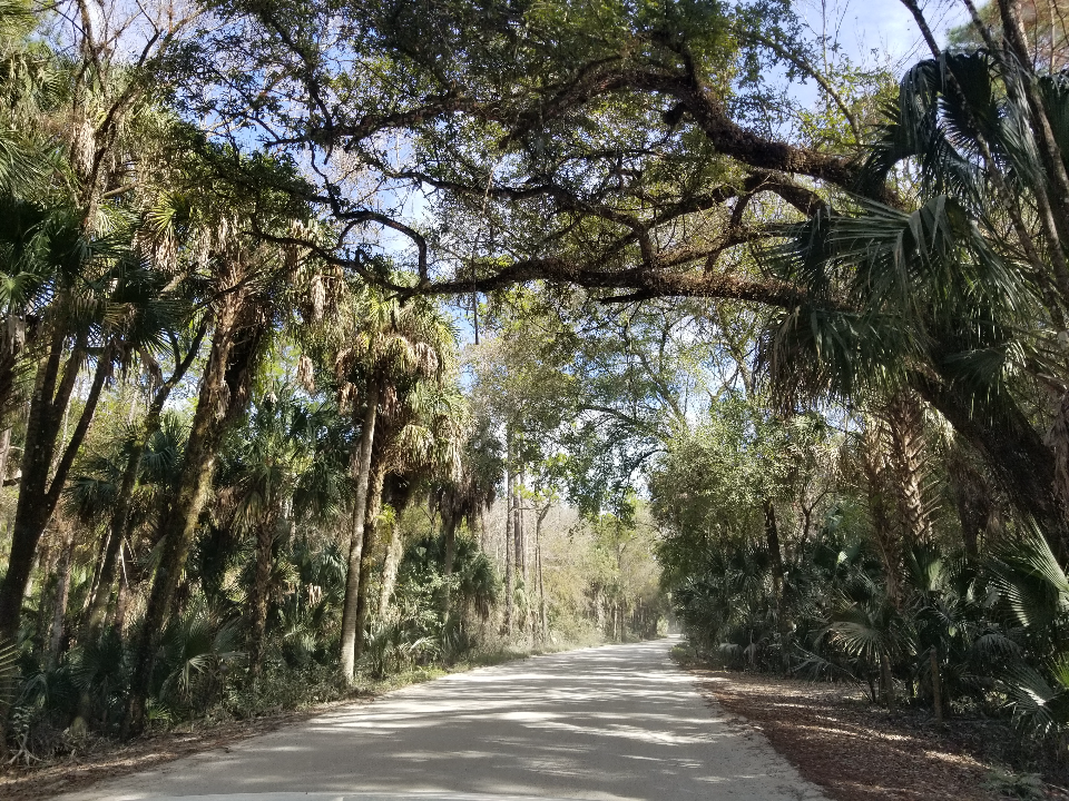Camper-submitted photo at Highlands Hammock State Park Campground near Wimauma, FL