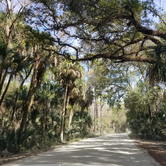 Review photo of Highlands Hammock State Park by Dale G., January 18, 2021