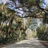 Review photo of Highlands Hammock State Park Campground by Dale G., January 18, 2021
