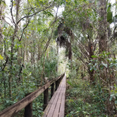 Review photo of Highlands Hammock State Park by Dale G., January 18, 2021