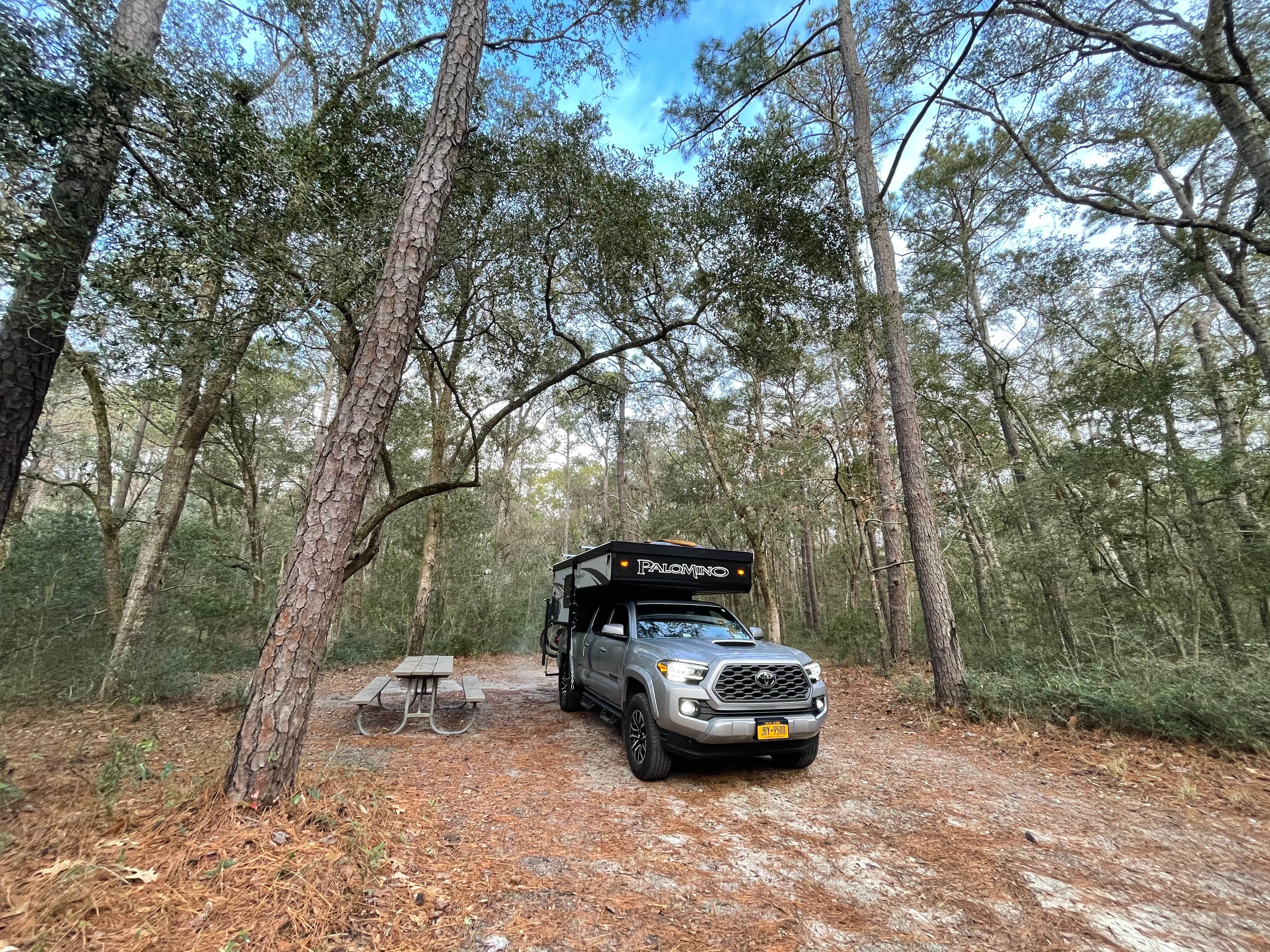 Camper-submitted photo at Carolina Beach State Park Campground near Wrightsville Beach, NC