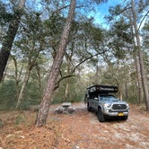 Review photo of Carolina Beach State Park Campground by Deanna  G., January 18, 2021