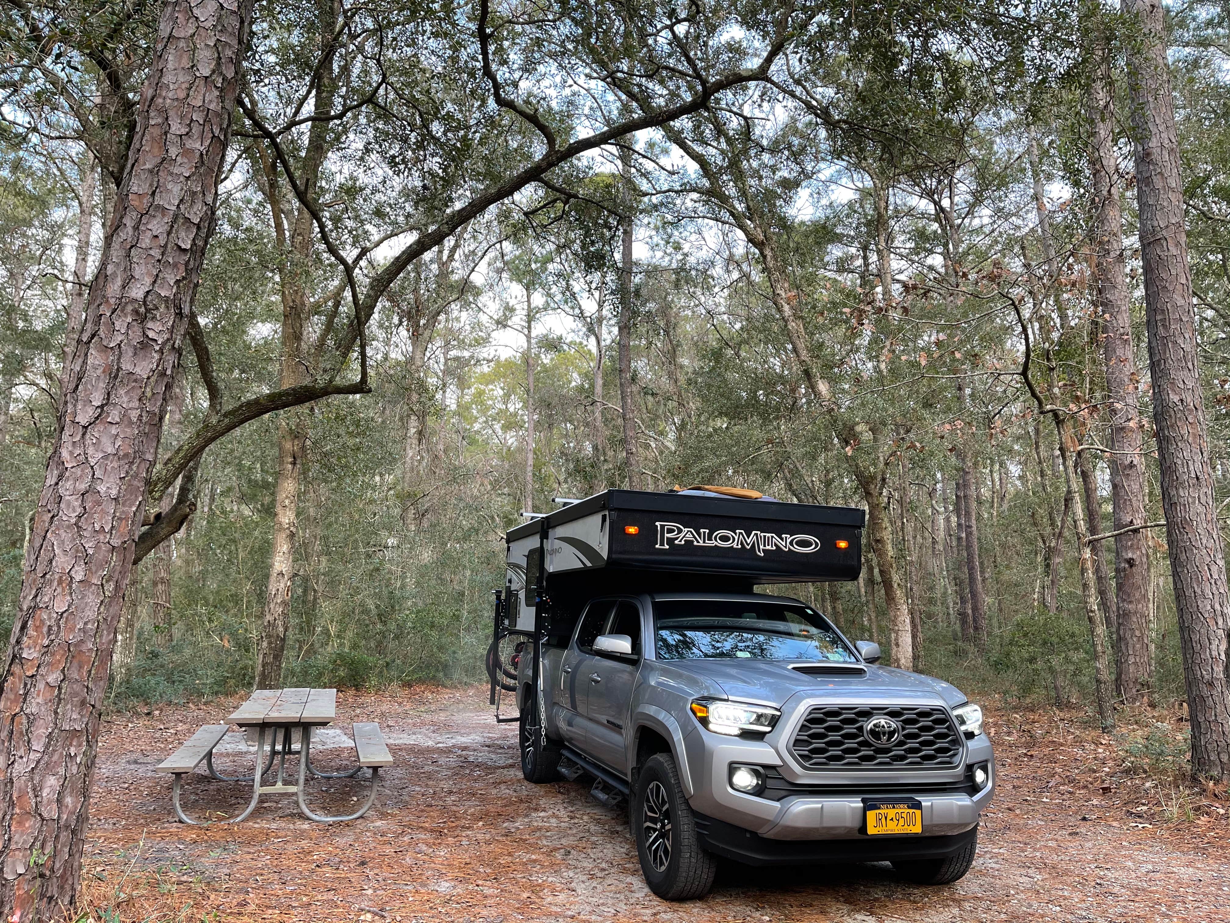 Camper-submitted photo at Carolina Beach State Park Campground near Wrightsville Beach, NC