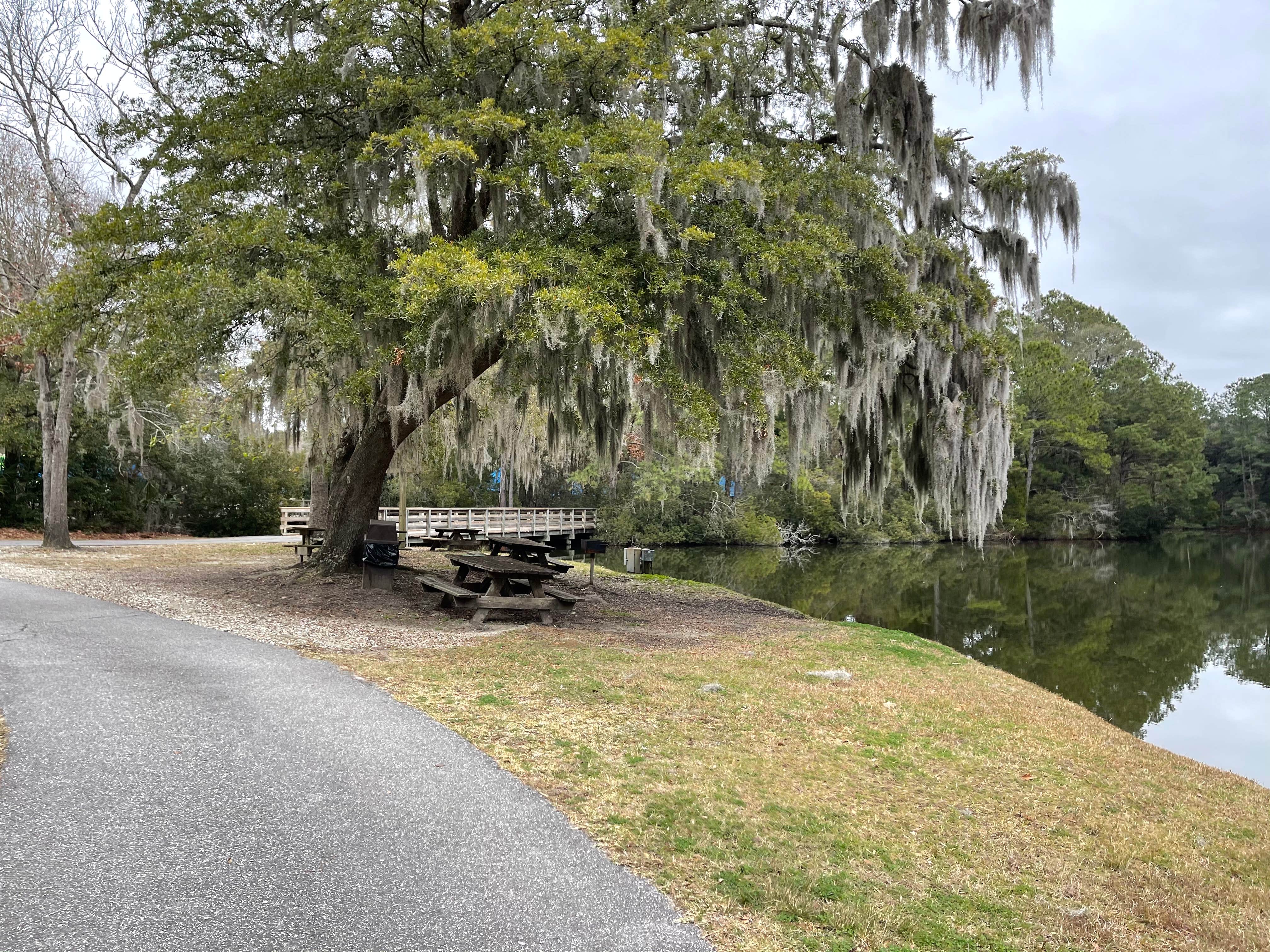 Camper-submitted photo at Campground at James Island County Park near Huger, SC