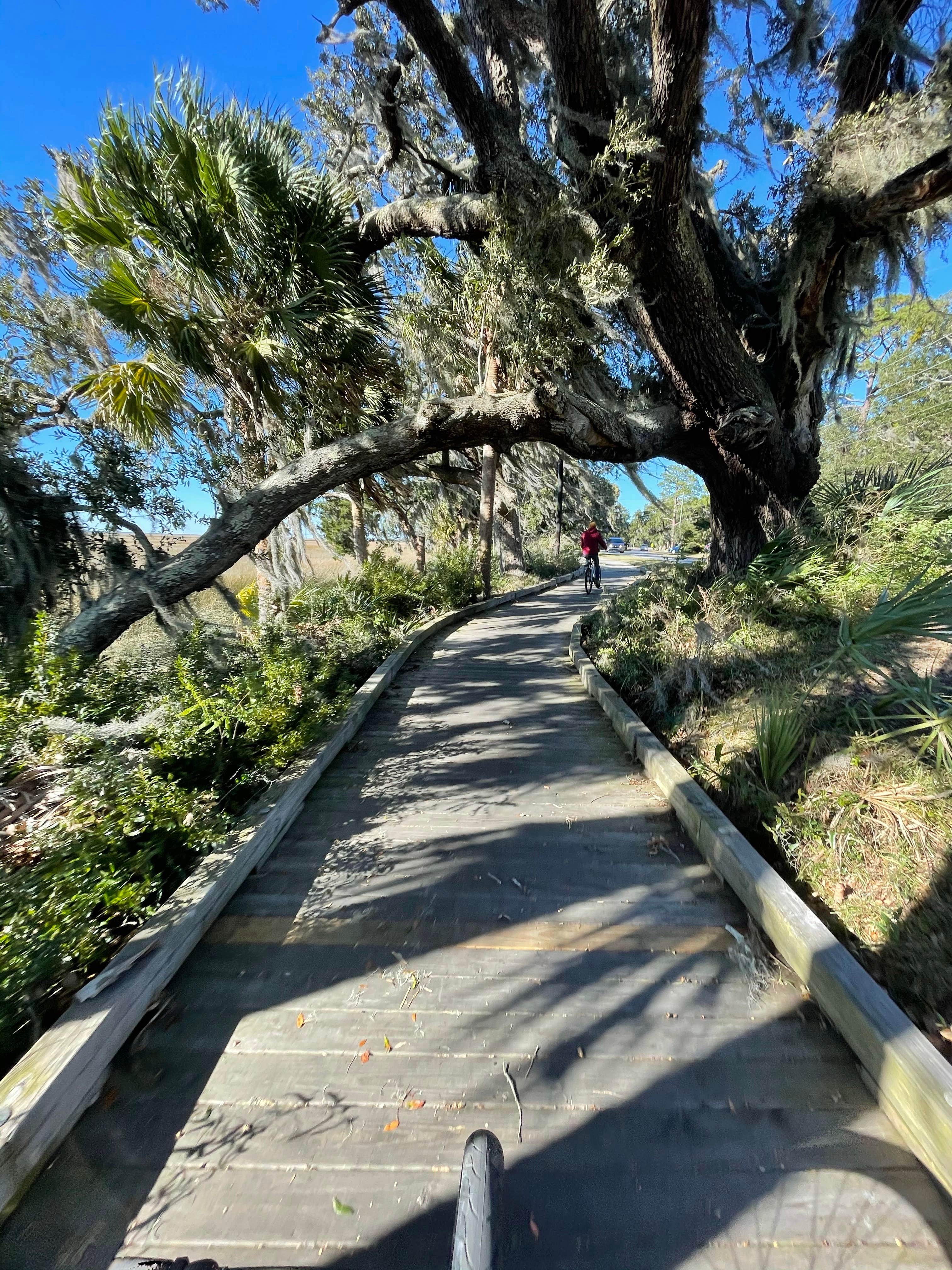 Camper-submitted photo at Jekyll Island Campground near Brunswick, GA