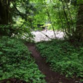Review photo of Paradise Creek Campground by Erin C., July 12, 2016
