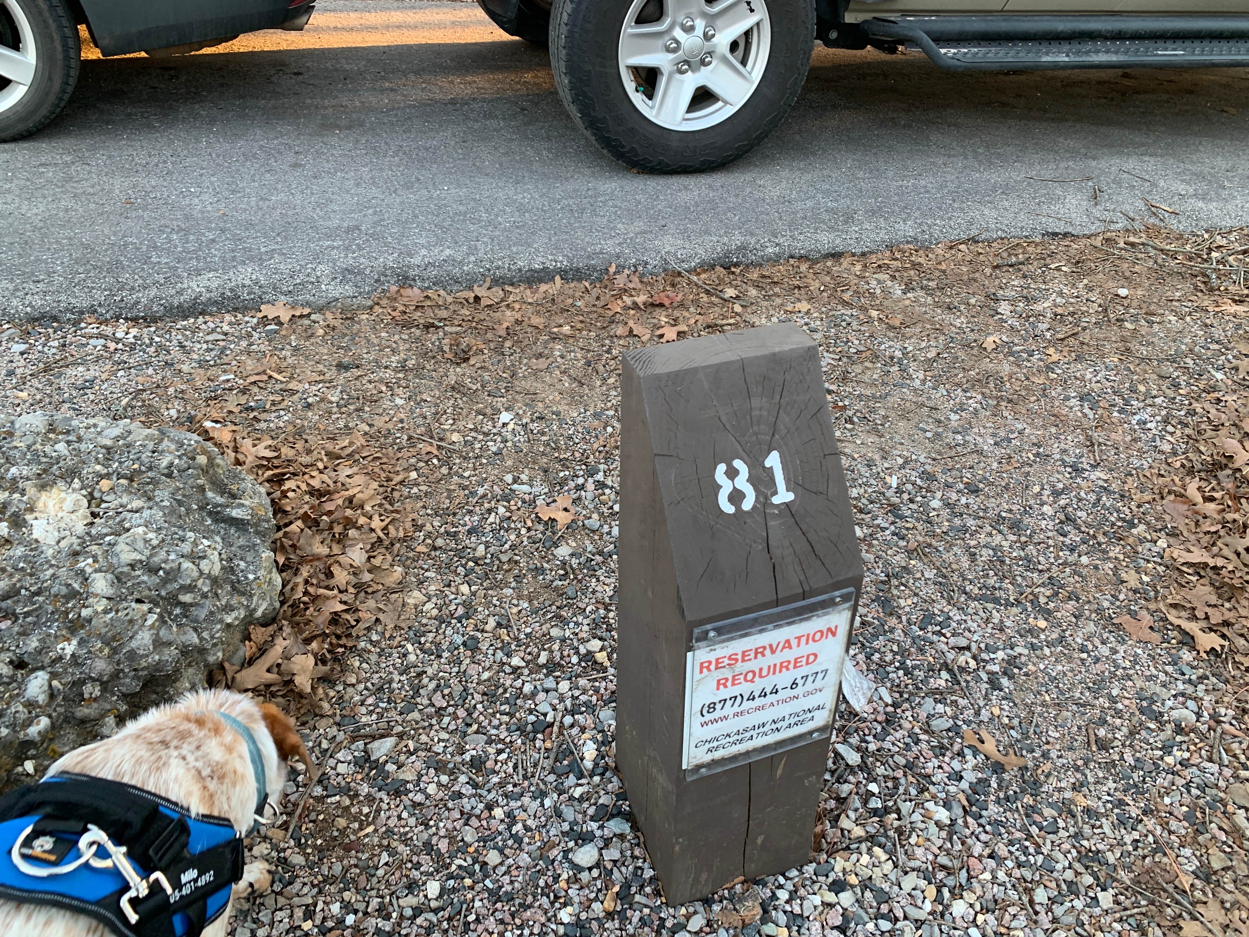 Leslie  N.'s photo of camping with pets at Buckhorn Campground Loop C — Chickasaw National Recreation Area near Chickasaw National Recreation Area