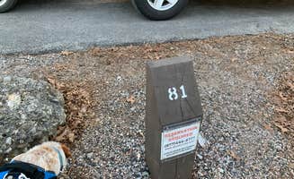 Leslie N.'s photo of camping with pets at Buckhorn Campground Loop C — Chickasaw National Recreation Area near Chickasaw National Recreation Area