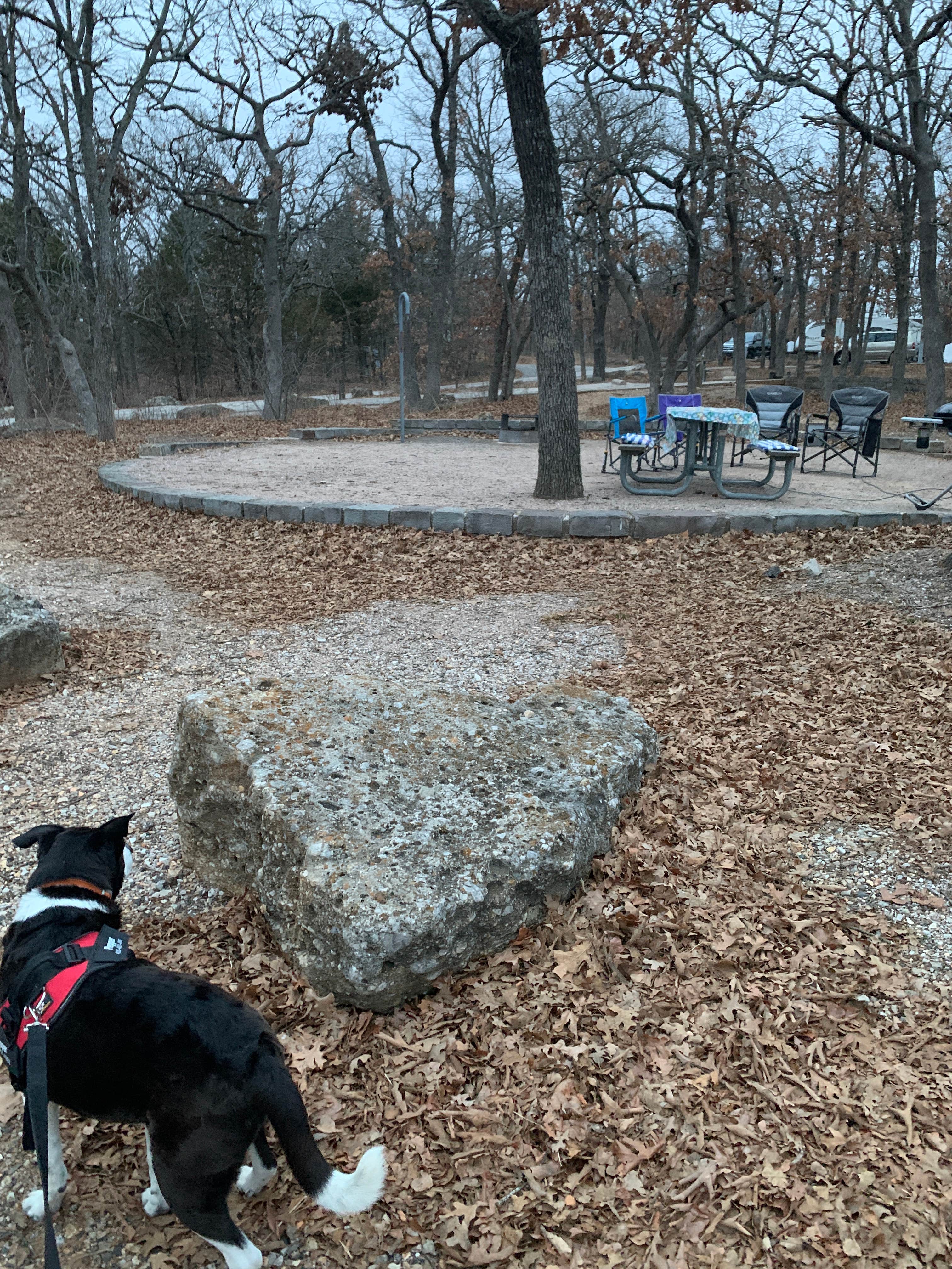 Leslie  N.'s photo of camping with pets at Buckhorn Campground Loop C — Chickasaw National Recreation Area near Davis, OK