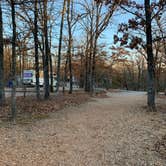 Review photo of Buckhorn Campground Loop C — Chickasaw National Recreation Area by Leslie  N., January 18, 2021