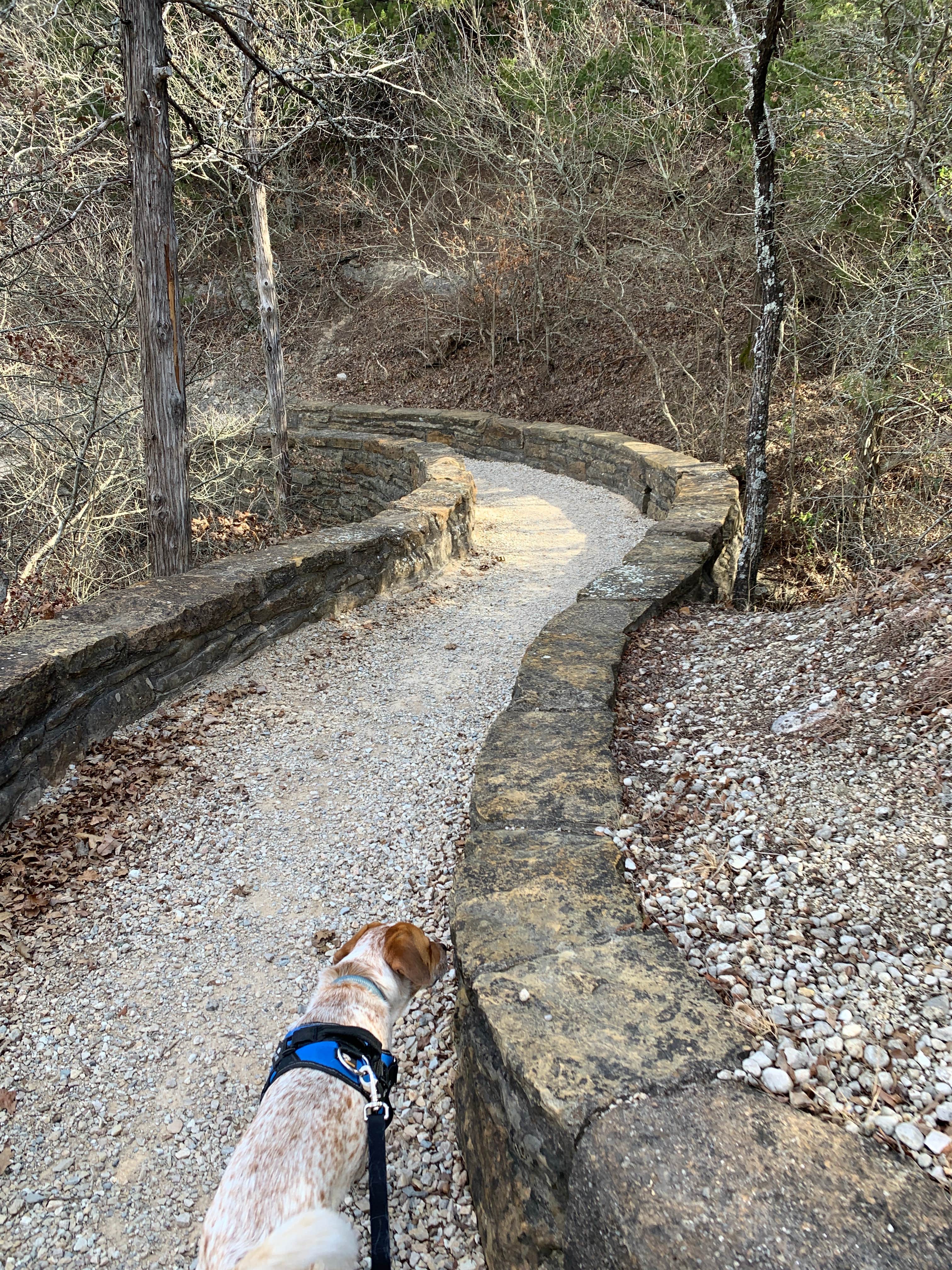 Leslie  N.'s photo of camping with pets at Buckhorn Campground Loop C — Chickasaw National Recreation Area near Duncan, OK
