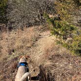 Review photo of Buckhorn Campground Loop C — Chickasaw National Recreation Area by Leslie  N., January 18, 2021