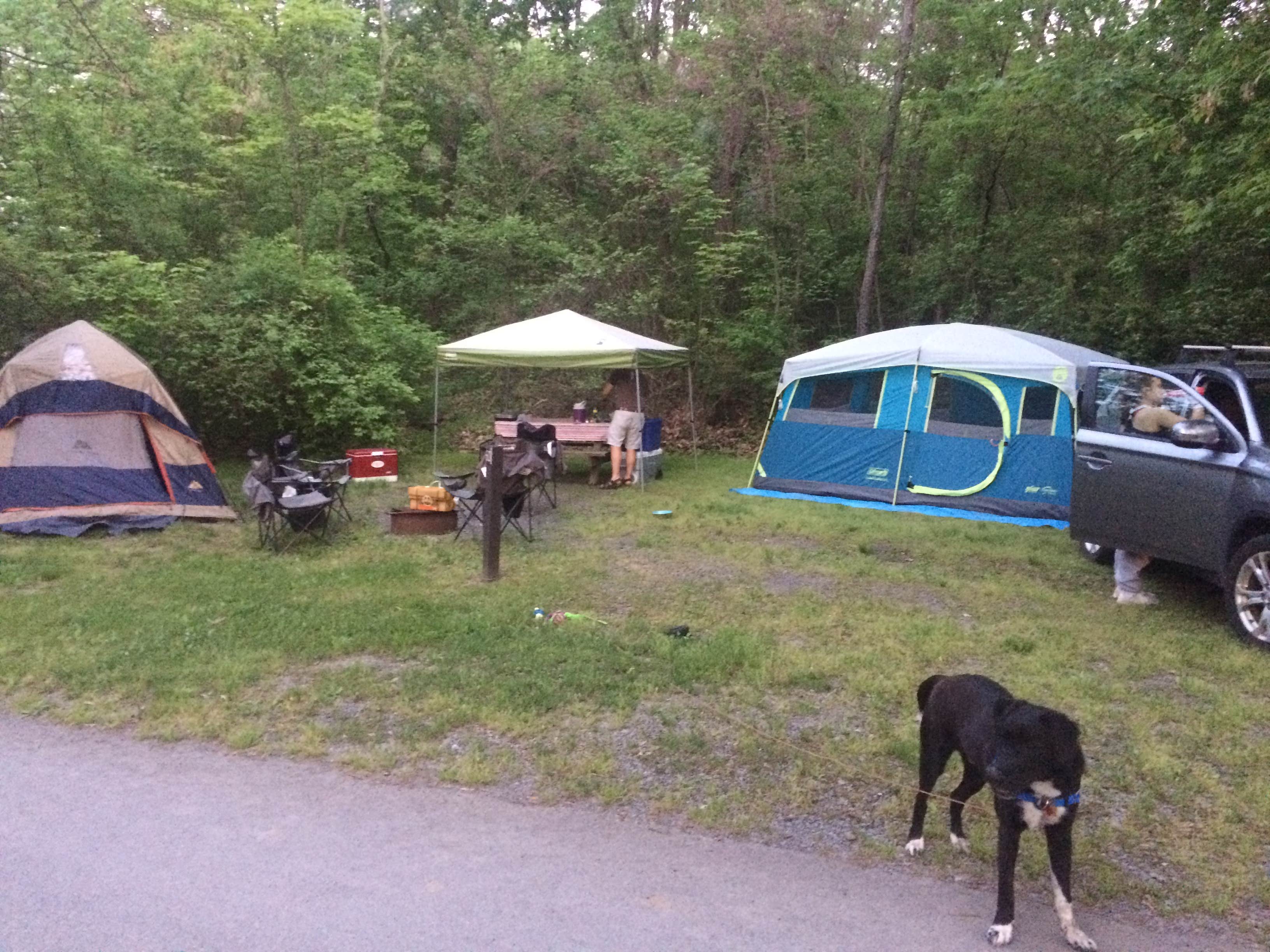 Stephanie B.'s photo at Taughannock Falls State Park Campground near Groton, NY