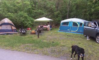 Stephanie B.'s photo at Taughannock Falls State Park Campground near Ithaca, NY