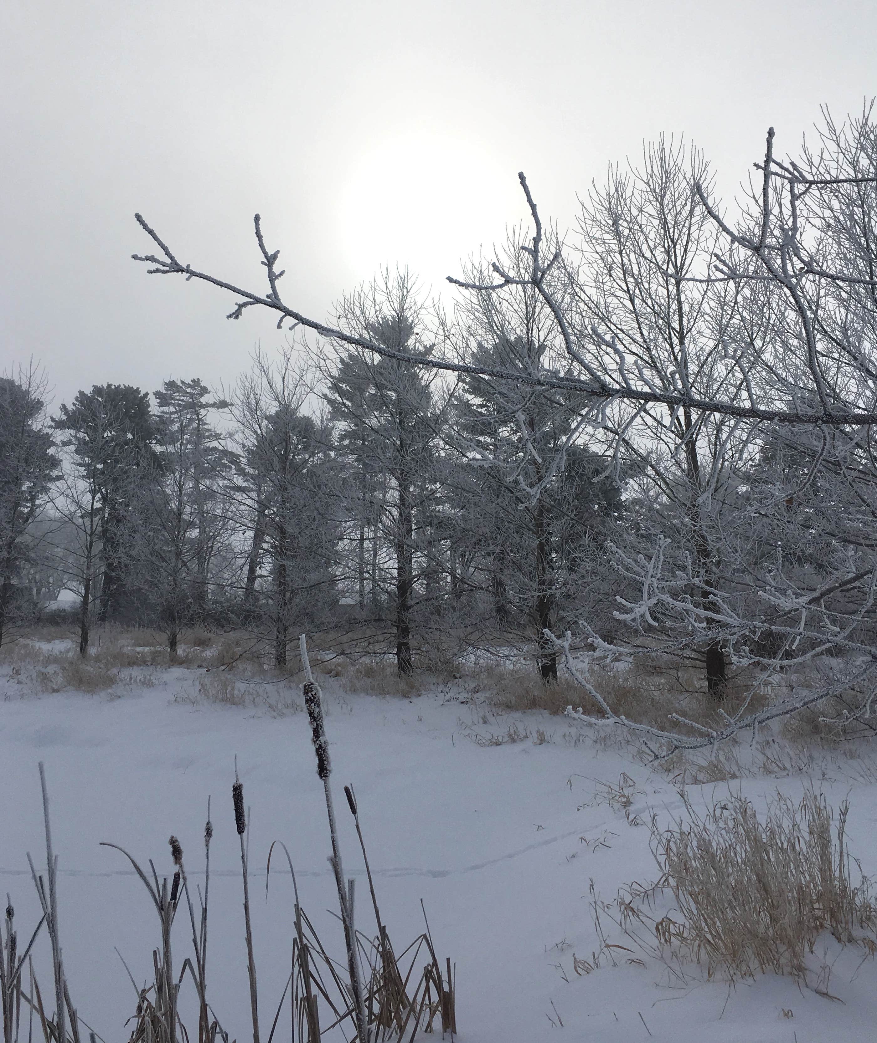 Camper submitted image from Winter Camp at Walking Stick Adventures Farm - 2