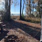 Review photo of Osceola National Forest Hog Pen Landing Campground by Abby M., January 18, 2021