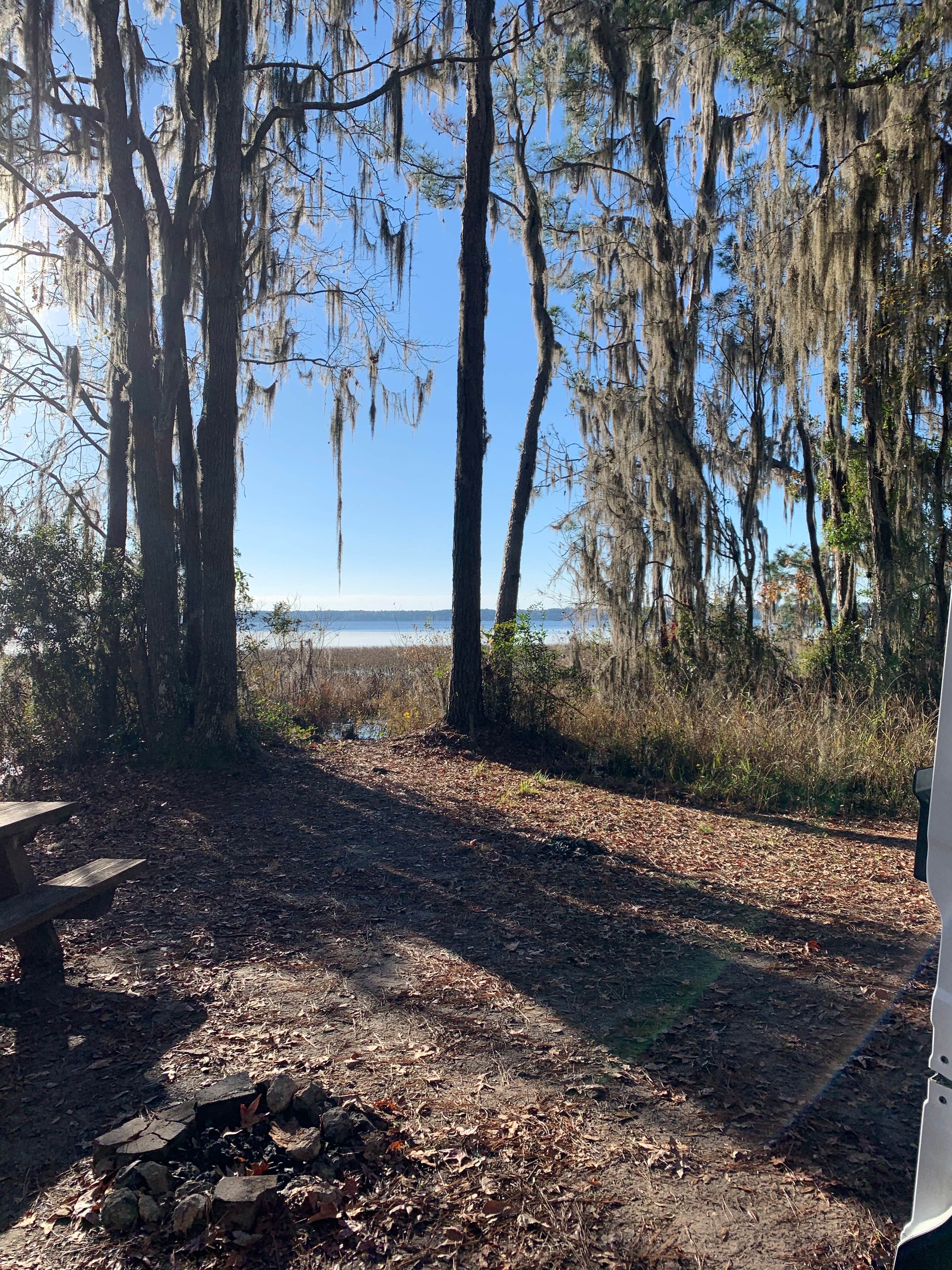 Camper submitted image from Osceola National Forest Hog Pen Landing Campground - 3