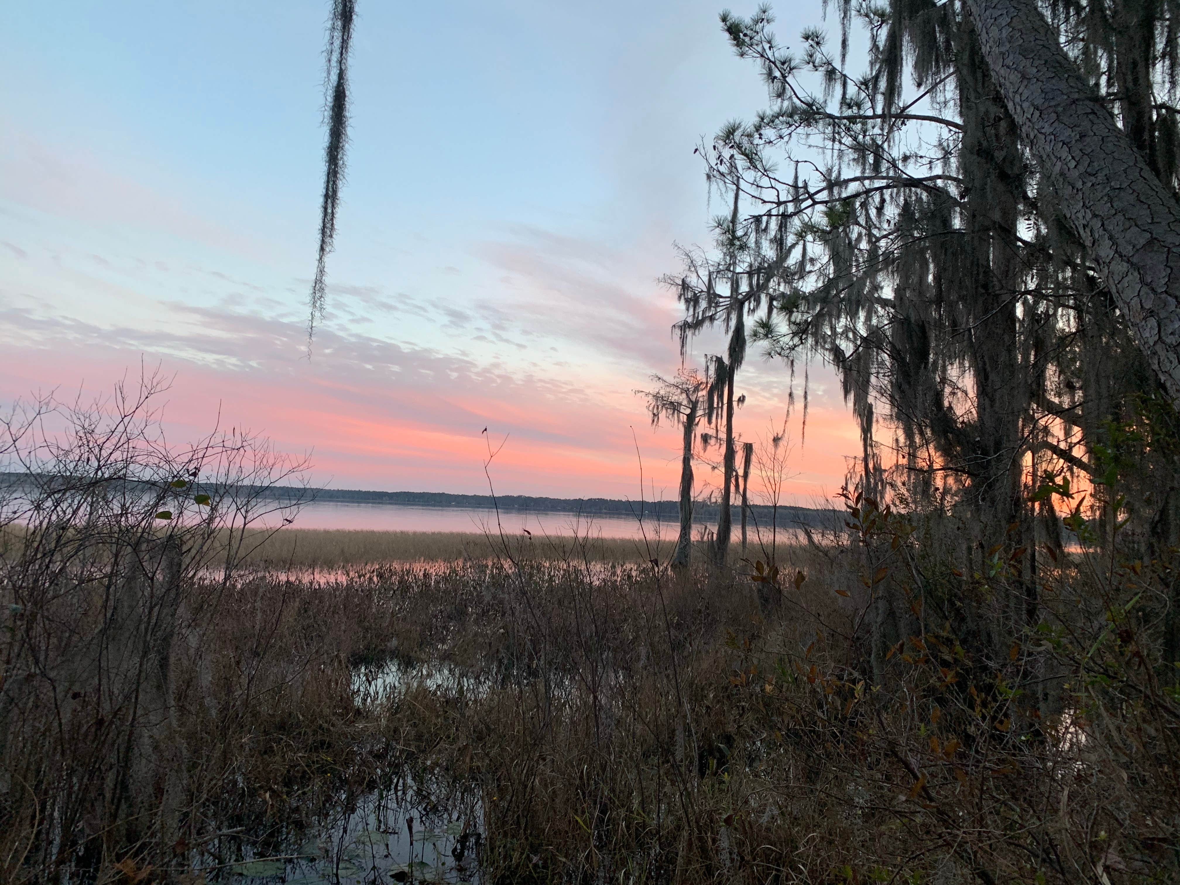 Camper submitted image from Osceola National Forest Hog Pen Landing Campground - 1