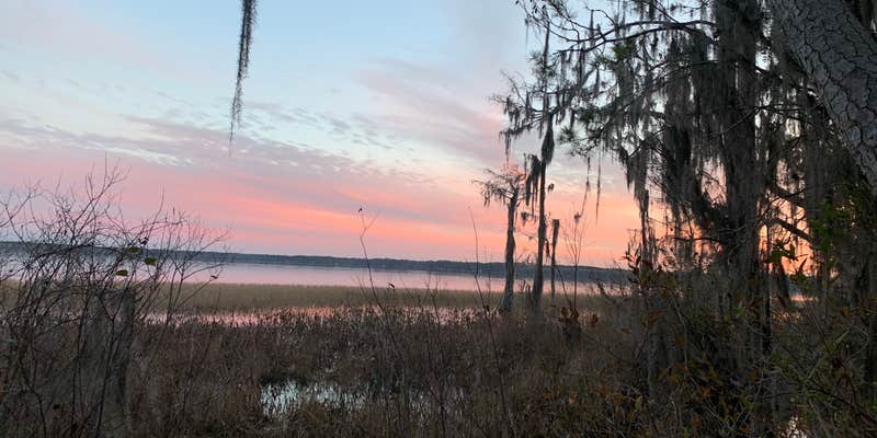 Camper submitted image from Osceola National Forest Hog Pen Landing Campground