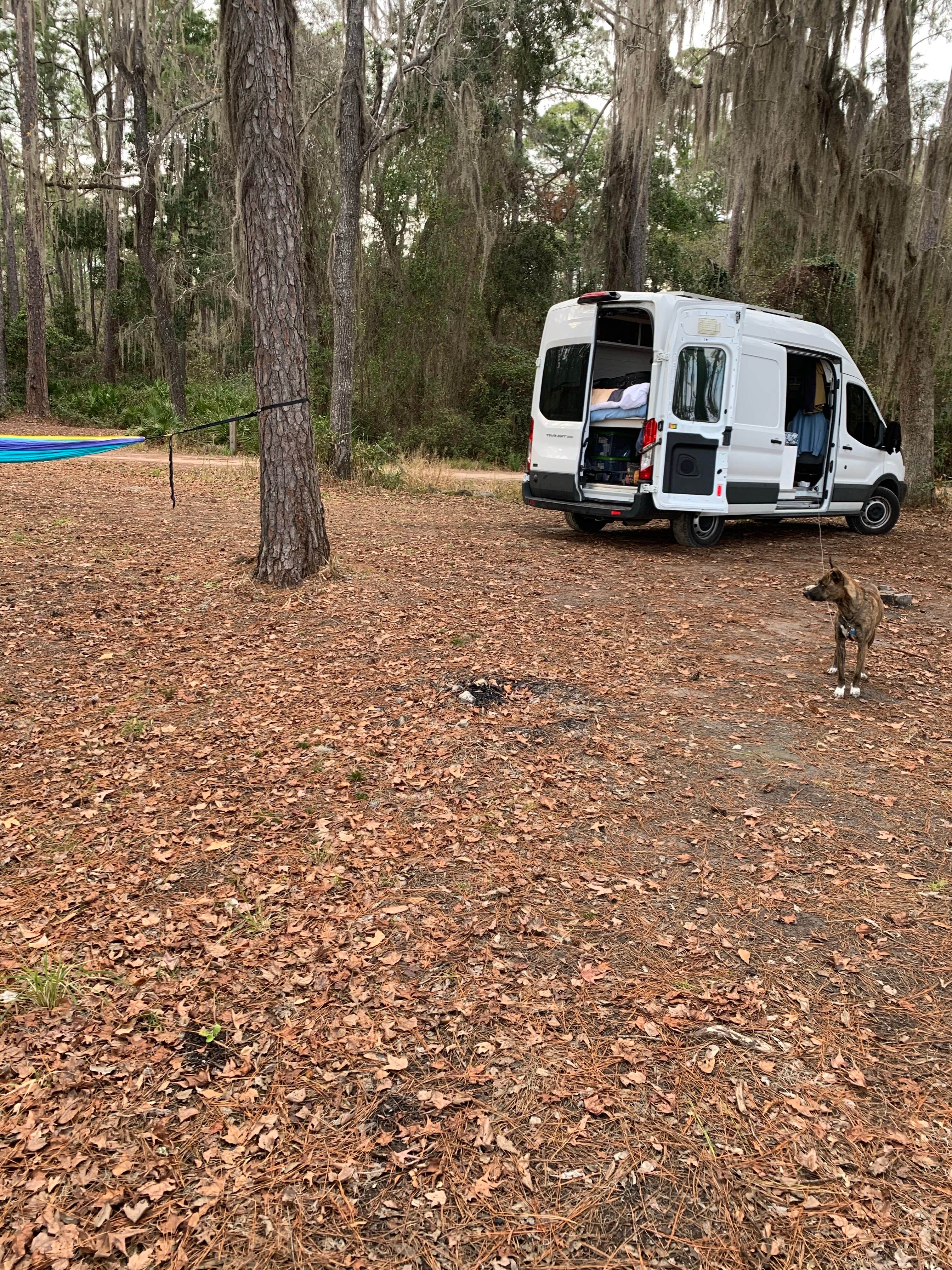 Abby M.'s photo of rv camping at Osceola National Forest Hog Pen Landing Campground near Osceola National Forest
