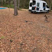 Review photo of Osceola National Forest Hog Pen Landing Campground by Abby M., January 18, 2021