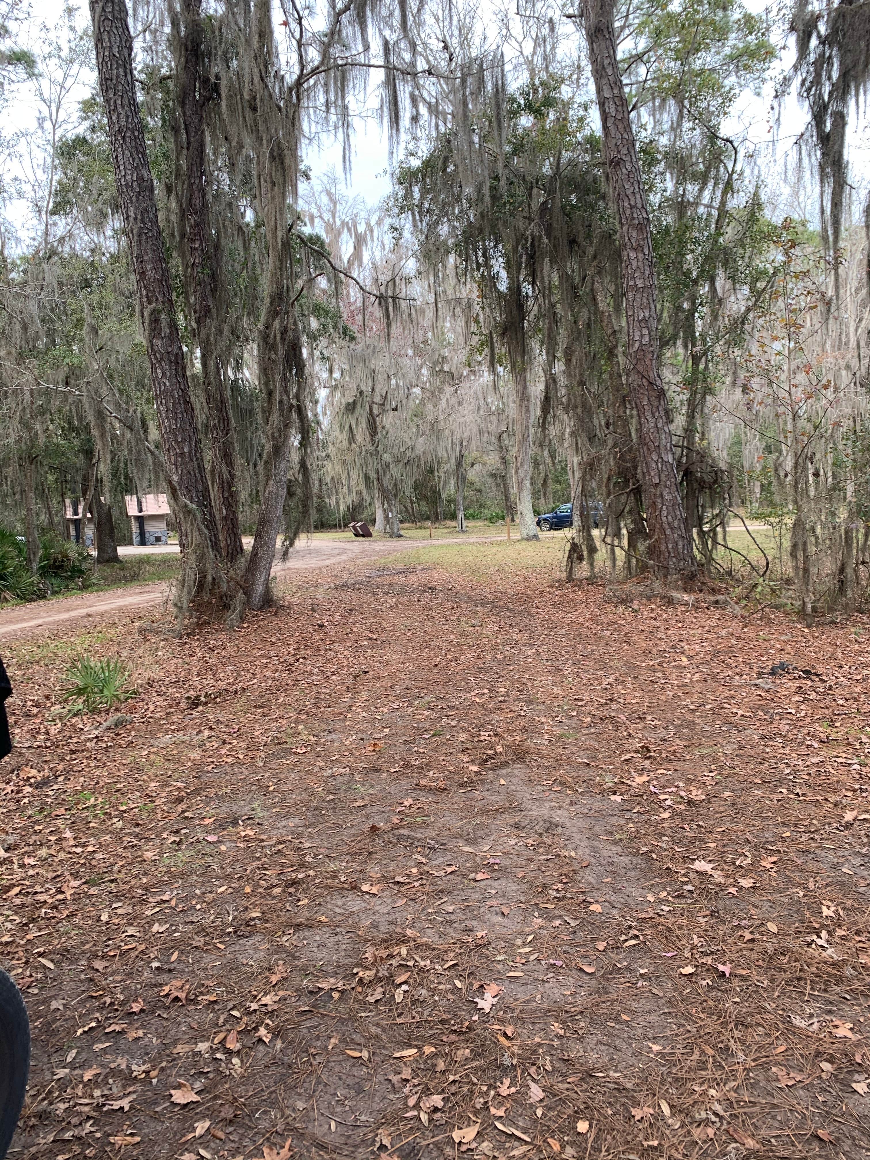 Camper-submitted photo at Osceola National Forest Hog Pen Landing Campground near Lake City, FL