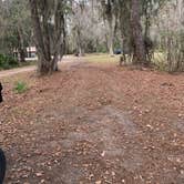 Review photo of Osceola National Forest Hog Pen Landing Campground by Abby M., January 18, 2021