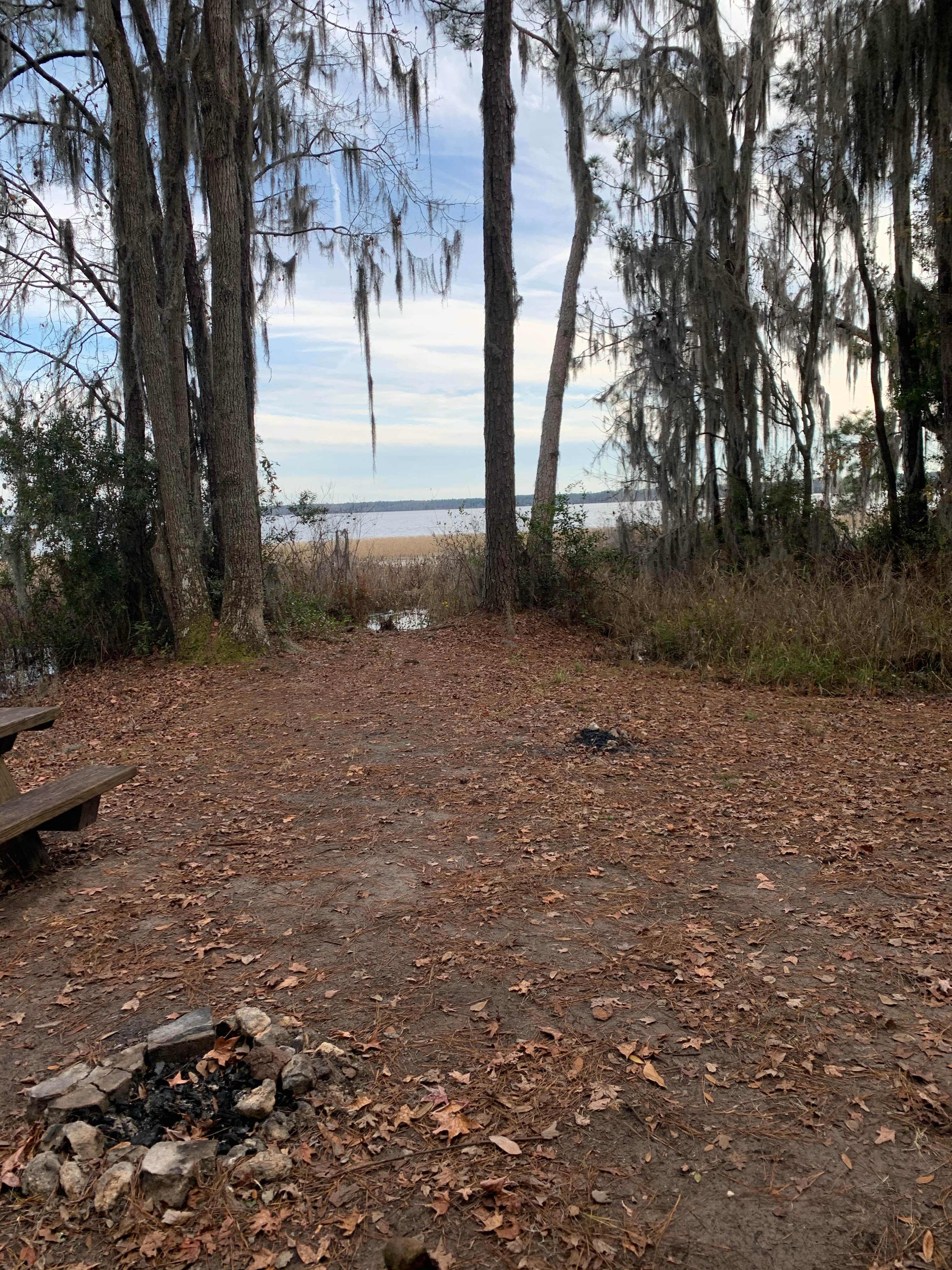 Camper-submitted photo at Osceola National Forest Hog Pen Landing Campground near Lake City, FL
